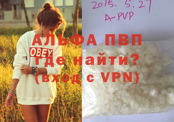 индика Алексин