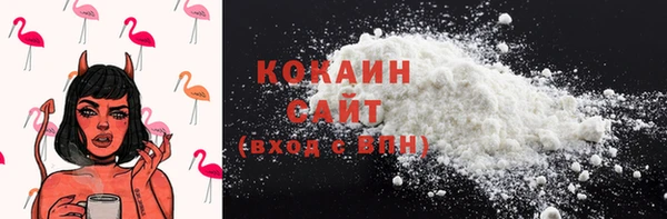стаф Нея